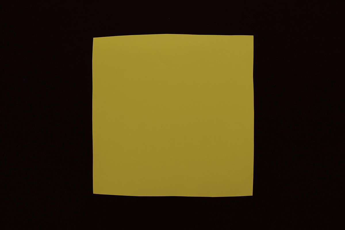 2011 Color Charts