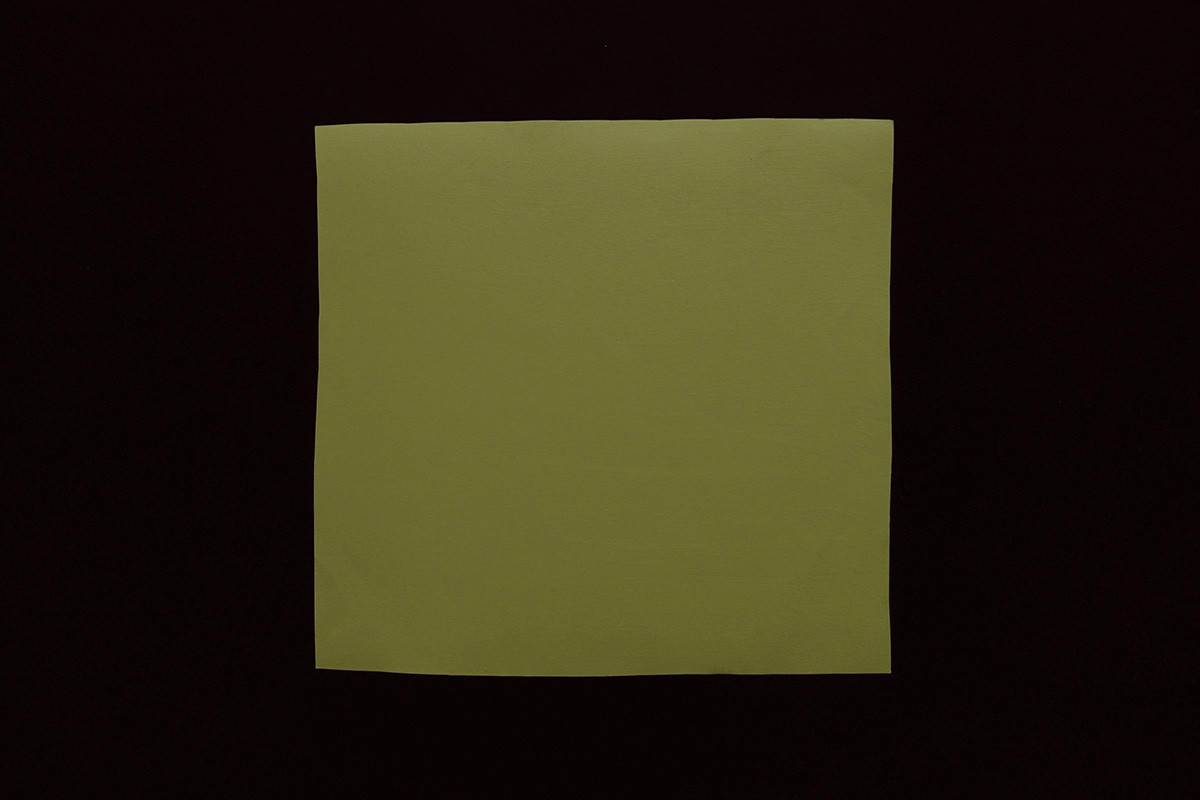 2011 Color Charts