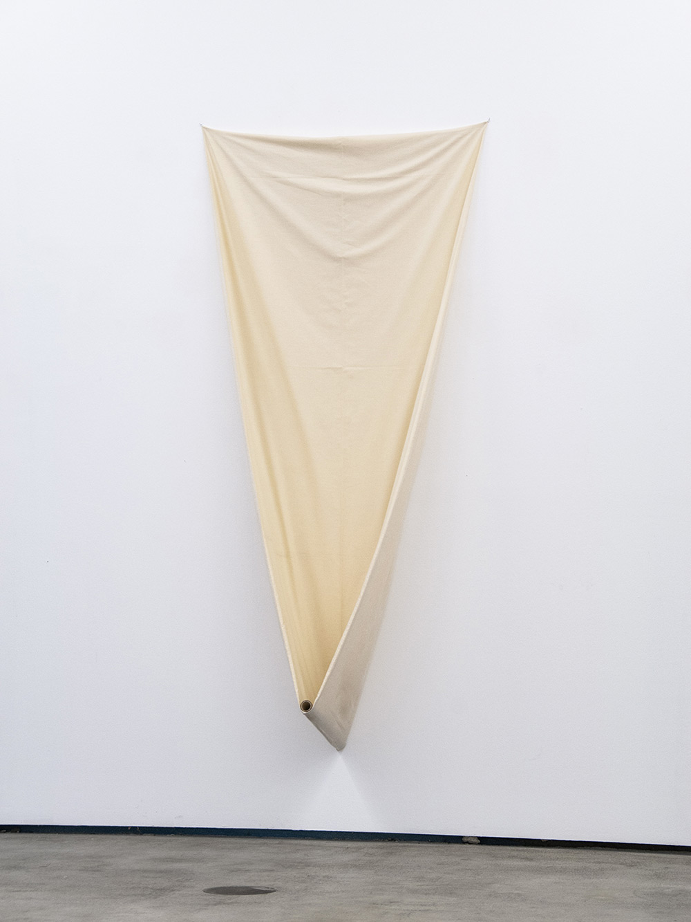 Correlation exhibition